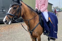 Afbeelding-van-WhatsApp-op-2024-11-09-om-17.15.55_feb6cbca