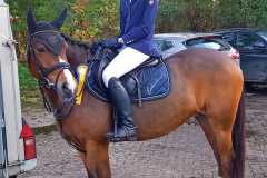 IMG-20231112-WA0000