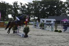 Ilse-de-Vries-