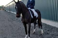 IMG-20231014-WA0001