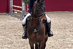 Afbeelding-van-WhatsApp-op-2025-02-16-om-14.03.46_0f7f5638