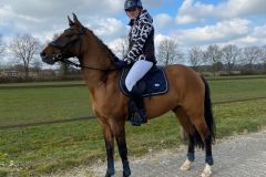 Afbeelding-van-WhatsApp-op-2025-03-16-om-11.58.43_bdb2b5b8