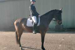 IMG-20260118-WA0003