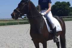 IMG-20230617-WA0009