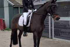 IMG-20211120-WA0005