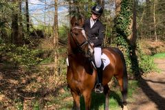 Afbeelding-van-WhatsApp-op-2025-04-19-om-12.35.31_fd28b4f1