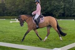 Jade-Koch-dressuur-