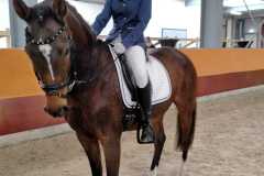 IMG-20211023-WA0003