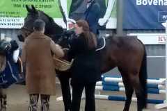 IMG-20221126-WA0007
