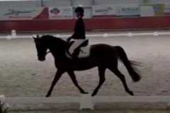 IMG-20220226-WA0009