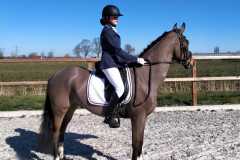 IMG-20220702-WA0000