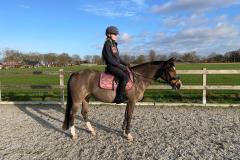 Afbeelding-van-WhatsApp-op-2025-01-05-om-18.15.32_a6b0655d